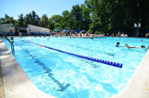 Forest Knolls Pool